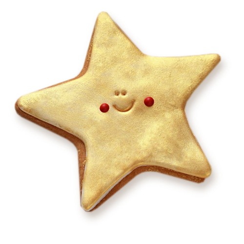 KUKI-W1157 Ciastko lukrowane Gwiazdka sq1200 LQW.JPG