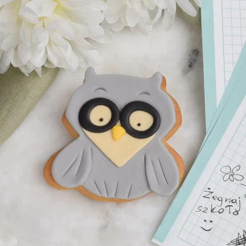 Ciasteczko lukrowane sowa w okularach.