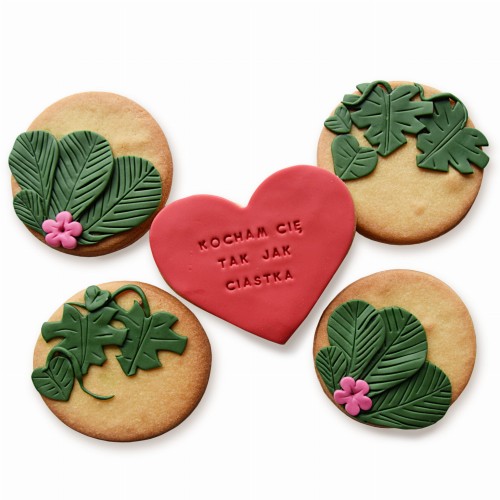 KUKI-R0995_URBAN JUNGLE-ROŚLINY NA KOŁACH02-sq2200LQW.jpg