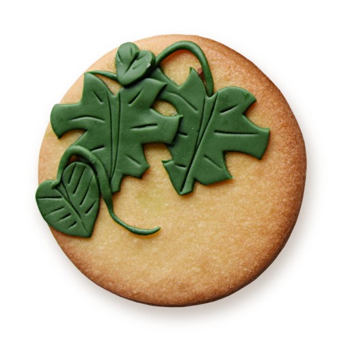 KUKI-W1008_KOŁO-URBAN JUNGLE MONSTERA-sq1100LQW.jpg